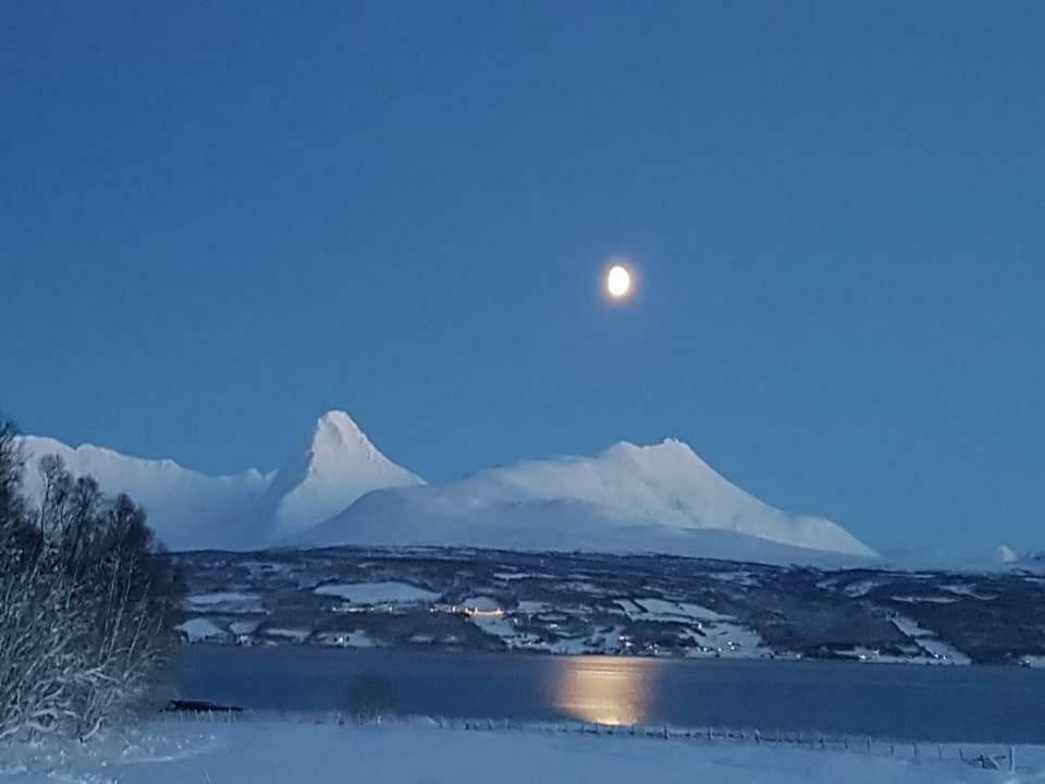 Malangen Apartment Kjerkevik Bagian luar foto
