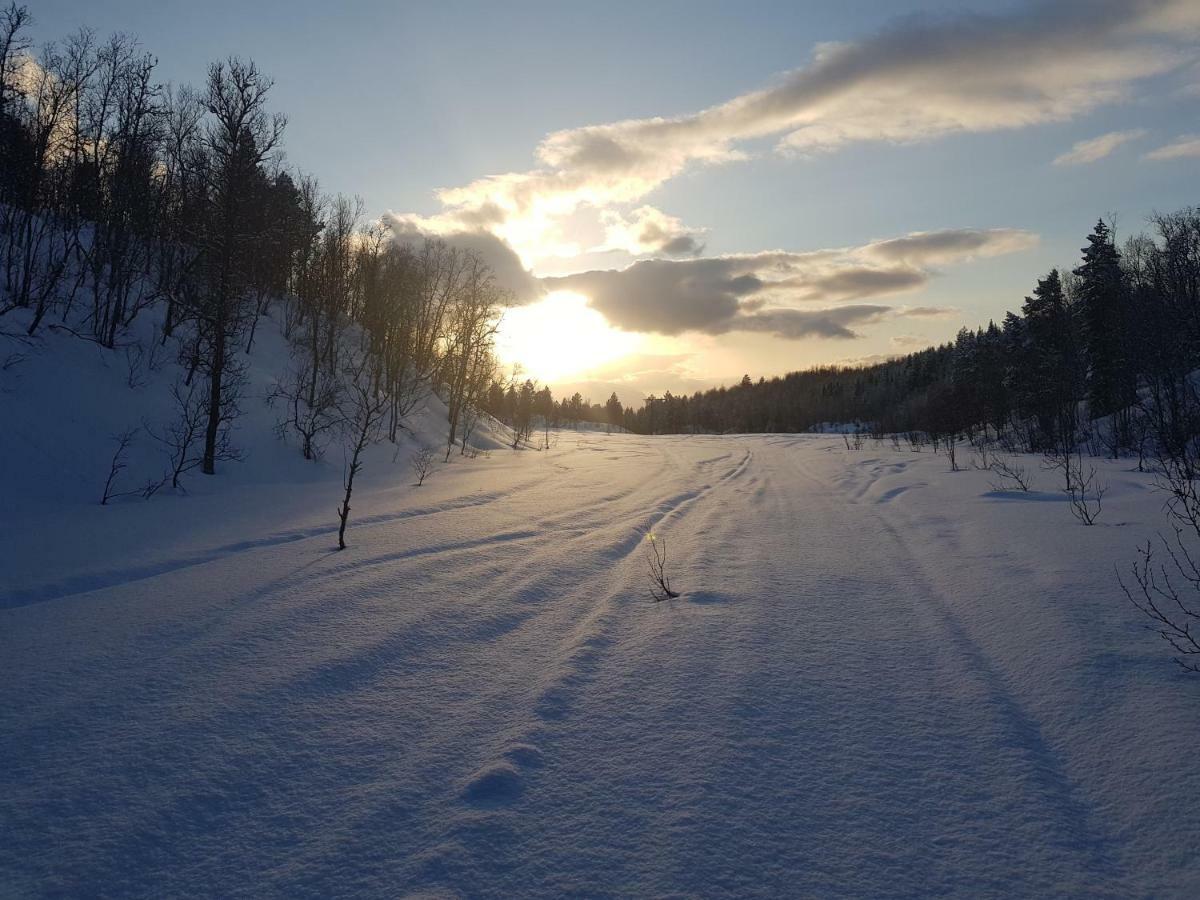 Malangen Apartment Kjerkevik Bagian luar foto