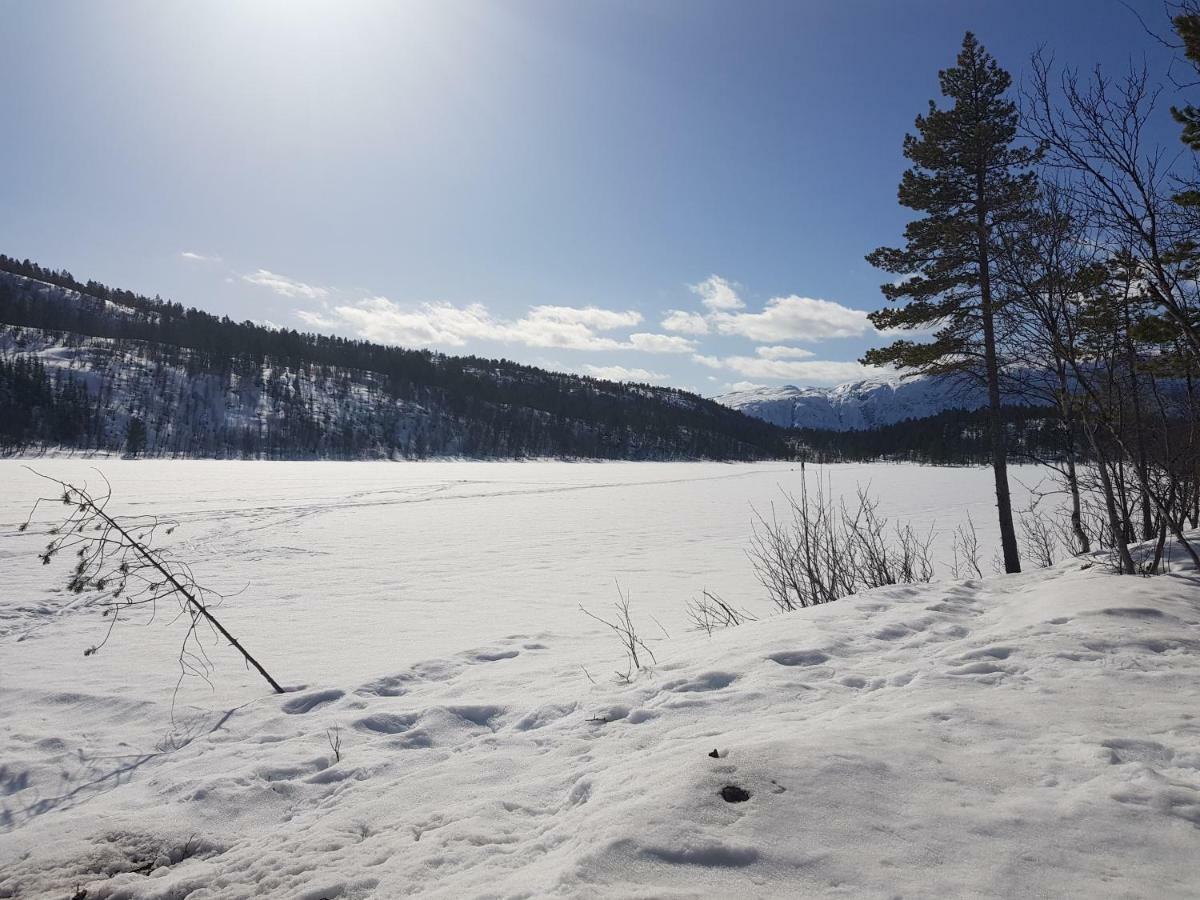 Malangen Apartment Kjerkevik Bagian luar foto