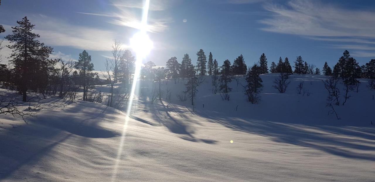 Malangen Apartment Kjerkevik Bagian luar foto