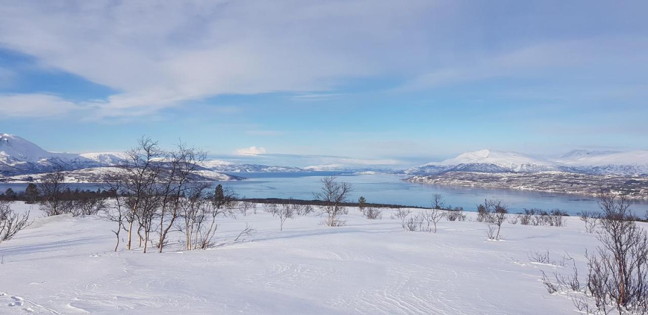Malangen Apartment Kjerkevik Bagian luar foto