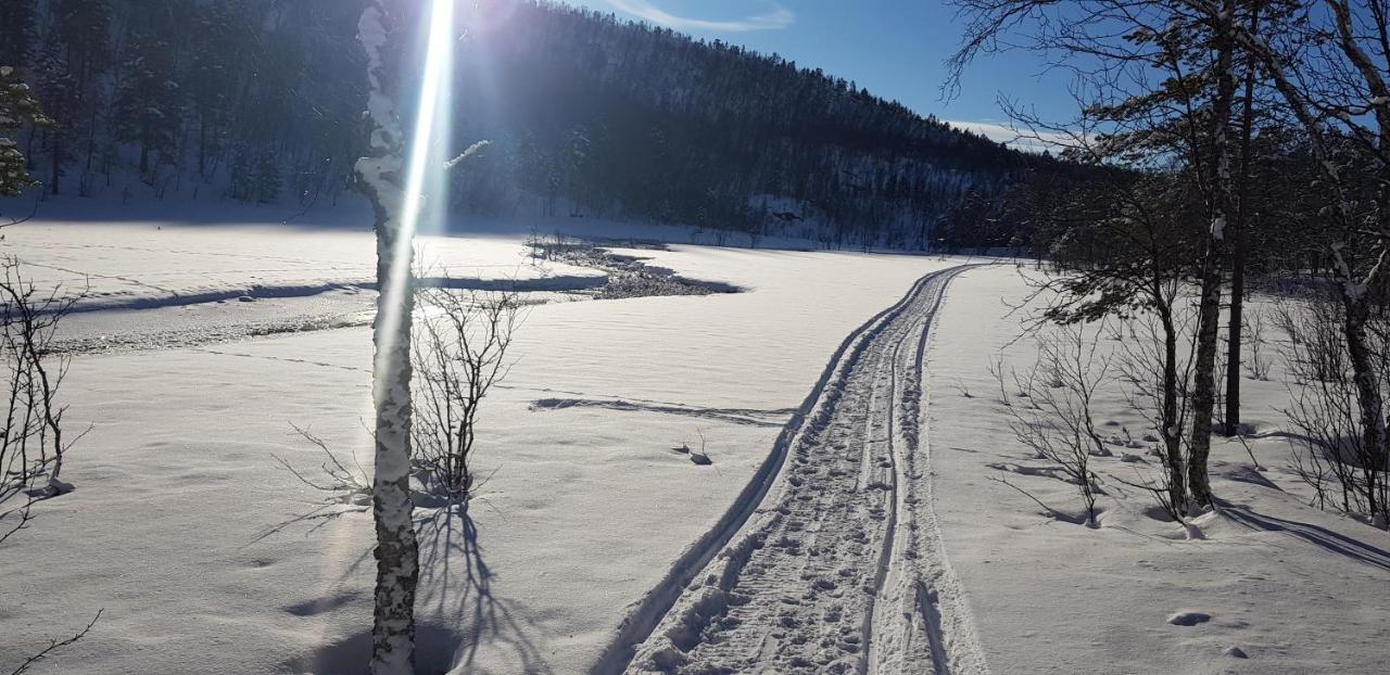 Malangen Apartment Kjerkevik Bagian luar foto